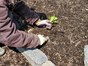 Vibrant Green Weeding Glove