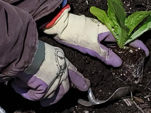 Vibrant Green Weeding Glove